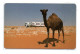 Chameau Camel Animal   Télécarte Allemagne Phonecard Telefonkarte (K 73) - K-Series : Série Clients