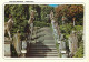 Portugal - Castelo Branco - Jardim Do Paço E Escadarias Dos Apôstolos - Jardin De Ville Et Escalier Des Apôtres - Art Re - Castelo Branco