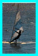 A950 / 989  Windsurfers En Mediterranee - Vela