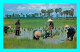 A942 / 357 THAILANDE Cultivation Of The Rice In Thailand - Thaïlande