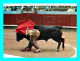 A945 / 253 CORRIDA De TOROS Pas De Rodillas - Corrida