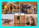 A947 / 081 NAMIBIE ETOSHA NAMIBIA Elephant Zebre Giraffe - Multivues - Namibia