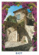 06 - Biot - La Porte Des Tines - Fleurs - CPM - Carte Neuve - Voir Scans Recto-Verso - Biot