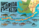 Animaux - Poissons - Art Peinture Illustration - Florida Keys - CPM - Voir Scans Recto-Verso - Pesci E Crostacei