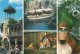 Parc D'Attractions - Walt Disney World Orlando - Adventureland - Multivues - CPM - Voir Scans Recto-Verso - Disneyworld