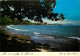 Tahiti - Arve - Et Sa Plage De Sable Noir - CPM - Voir Scans Recto-Verso - Tahiti