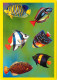 Animaux - Poissons - Art Peinture Illustration - CPM - Carte Neuve - Voir Scans Recto-Verso - Pesci E Crostacei