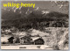 Flims Waldhaus - S/w Mit Piz Riein - Im Winter - Verlag Photohaus Jules Geiger - Flims