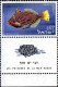 Israel Poste N** Yv: 242/245 Poissons De La Mer Rouge (Tabs) - Unused Stamps (with Tabs)
