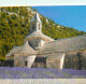 84 - Gordes - Abbaye De Sénanque - Champs De Lavande - CPM - Voir Scans Recto-Verso - Gordes
