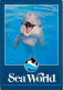 Animaux - Dauphins - Sea World - CPM - Voir Scans Recto-Verso - Dauphins
