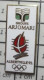 511B   Pin's Pins / Beau Et Rare / JEUX OLYMPIQUES / ALBERTVILLE 1992 GROUPE ARJOMARI - Olympic Games