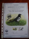 Delcampe - Lot De 21 Souvenirs Buzin. - 1985-.. Birds (Buzin)