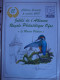 Delcampe - Lot De 21 Souvenirs Buzin. - 1985-.. Birds (Buzin)