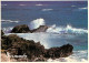 Antilles - Bermudes - Bermuda - CPM - Voir Scans Recto-Verso - Bermuda