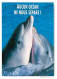 Animaux - Dauphins - CPM - Voir Scans Recto-Verso - Delfines