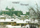 VISEU Nevão Na Cidade Em 1982 Postcard - Viseu