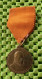 Medaille  : Vierde Eeuwfeest V/d Geboorte Van Willem Oranje 1933  -  Original Foto  !!  Medallion  Dutch - Adel