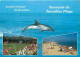 Animaux - Dauphins - Torreilles Plage - Multivues - CPM - Voir Scans Recto-Verso - Dolphins