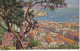 Timbre PRINCIPAUTE De MONACO Prince ALBERT 1er  Oblitere En 1907 Sur Carte Postale Raphael Tuck - Gebraucht