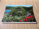 Countisbury Hill From Lynton (Royaume-Uni). - Lynmouth & Lynton