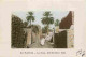Algérie - Sud Algérien - Vieux Biskra - Une Rue Dans L'Oasis - Animée - Colorisée - CPA - Voir Scans Recto-Verso - Biskra