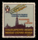P.Aerea/Aerogrammi - 1918 - Missione Di Vienna - Vignetta Nuova - Gomma Originale - Diena - Other & Unclassified