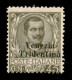 Occupazioni I Guerra Mondiale - Trentino-Alto Adige - 1918 - 45 Cent Floreale (25) - Gomma Integra (650) - Sonstige & Ohne Zuordnung