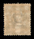 Occupazioni I Guerra Mondiale - Trentino-Alto Adige - 1918 - 45 Cent Floreale (25) - Gomma Integra (650) - Otros & Sin Clasificación