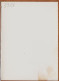 16427 / Peu Commun Les Chemins SAINT-JACQUES St Sanctuaires FRANCE Pélerinage XIIe FRANCE Photo-Bromure BULLOZ 12x16 - Lugares Santos