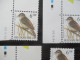 2577 'Buzin: Rietzanger' - Hoekdatums En Plaatnummer - Postfris ** - 1985-.. Vogels (Buzin)