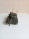 Delcampe - Char Solido Amx 30 T 1965 Ref 209 - Jouets Anciens