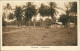 Sansibar Zanzibar زنگبار‎ Coltivation - Tansania Tanzania 1931 - Tanzanie