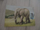 Ga Carte Maximum A.E.F. Afrique équatoriale Française éléphant  1959 - Storia Postale