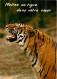 Animaux - Tigres - CPM - Voir Scans Recto-Verso - Tigres