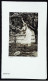 ► Ancien MENU Gravure Braun Tableau Deully CONVOITISE  Thème Femme Art Nouveau  (Éd.Minéralogène Bosson) Dim. 14x8 - Menus