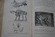 Delcampe - BOULE PIVETEAU Les Fossiles Eléments De Paléontologie MASSON & Cie 1935 1330 Figures Archéologie Préhistoire  - Archeology