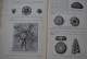 Delcampe - BOULE PIVETEAU Les Fossiles Eléments De Paléontologie MASSON & Cie 1935 1330 Figures Archéologie Préhistoire  - Archeology