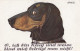 Dackel Teckel Bassotto Dachshund Dog Old Postcard Signed P.O.Engelhard - Engelhard, P.O. (P.O.E.)