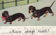 Dackel Teckel Bassotto Dachshund Dog Old Postcard Signed P.O.Engelhard 1911 - Engelhard, P.O. (P.O.E.)