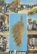 Cachet Saint-Germain-en-Laye 78 Sur CPSM La Corse Folklorique - Seals Of Generality