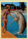 Animaux : Dauphins / Les Dauphins Du Marineland (voir Scan Recto/verso) - Delfines