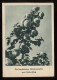Saar 1957 Saarbrucken 2 Special Cancellation Postcard__(8965) - Covers & Documents