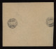 Russia 1917 Cover To Finland__(9866) - Storia Postale