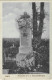 ROMANIA 1931 LUGOJ - THE GRAVE OF I. N. POPOVICI-BANATANU - Roumanie