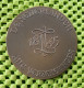 VOORZORG VOORKOMT ZORG 1845 1954 Medal 60mm 74g Bronze.  -  Original Foto  !!  Medallion  Dutch - Altri & Non Classificati