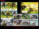 LOTES EN OFERTA. CUBA MINT. 2000-2020 LOTE DE 10 EMISIONES DIFERENTES & COMPLETAS. TEMÁTICA: FAUNA SALVAJE - Unused Stamps