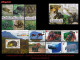 LOTES EN OFERTA. CUBA MINT. 2000-2020 LOTE DE 10 EMISIONES DIFERENTES & COMPLETAS. TEMÁTICA: FAUNA SALVAJE - Unused Stamps