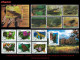 LOTES EN OFERTA. CUBA MINT. 2000-2020 LOTE DE 10 EMISIONES DIFERENTES & COMPLETAS. TEMÁTICA: FAUNA SALVAJE - Unused Stamps