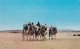 Algérie-- HOGGAR--1973--Groupe De Touaregs ( Animée , Chameaux) ...timbre.. Cachet TAMANRASSET OASIS - Autres & Non Classés